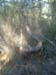 ColPierreCoucou_Photo029