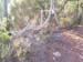 ColPierreCoucou_Photo030
