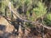 ColPierreCoucou_Photo031