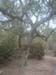 ColPierreCoucou_Photo035