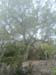 ColPierreCoucou_Photo054