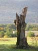 CreteDuBauroux_Photo_004