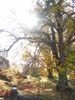 CreteDuBauroux_Photo_005