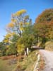 CreteDuBauroux_Photo_009