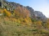 CreteDuBauroux_Photo_011