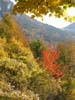 CreteDuBauroux_Photo_020