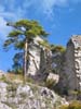 CreteDuBauroux_Photo_024