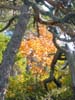 CreteDuBauroux_Photo_027
