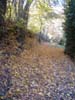 CreteDuBauroux_Photo_043