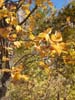 CreteDuBauroux_Photo_052