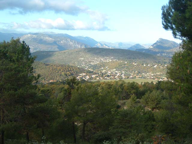 DSCF0005