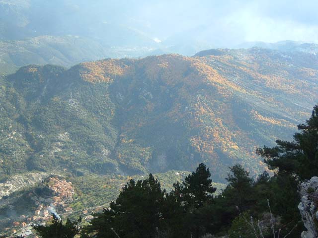 DSCF0039