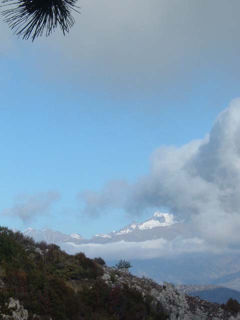 DSCF0046