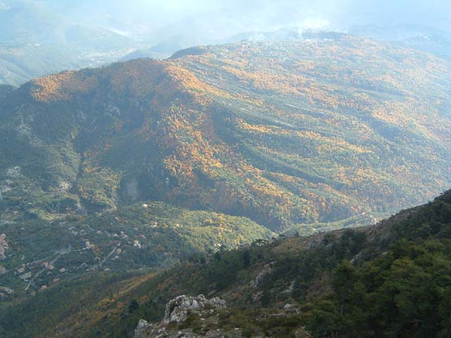 DSCF0050