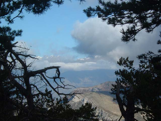 DSCF0051