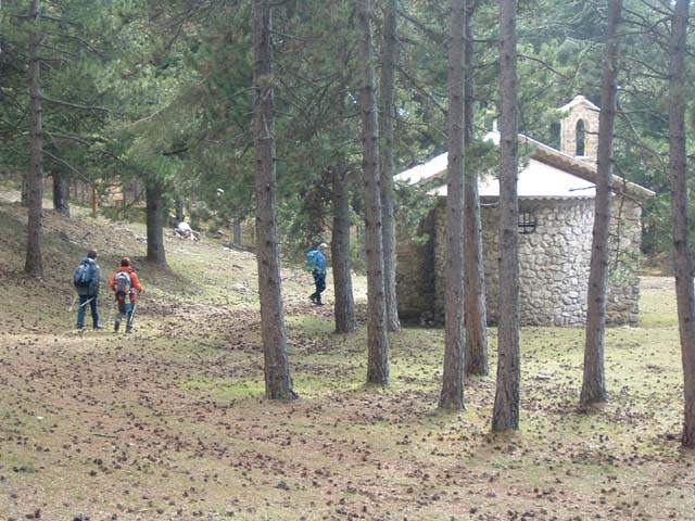 DSCF0061
