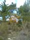 DSCF0025
