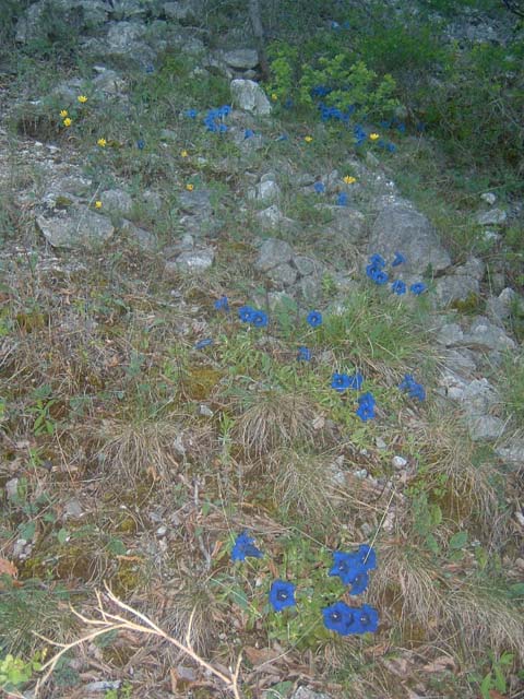 DSCF0008