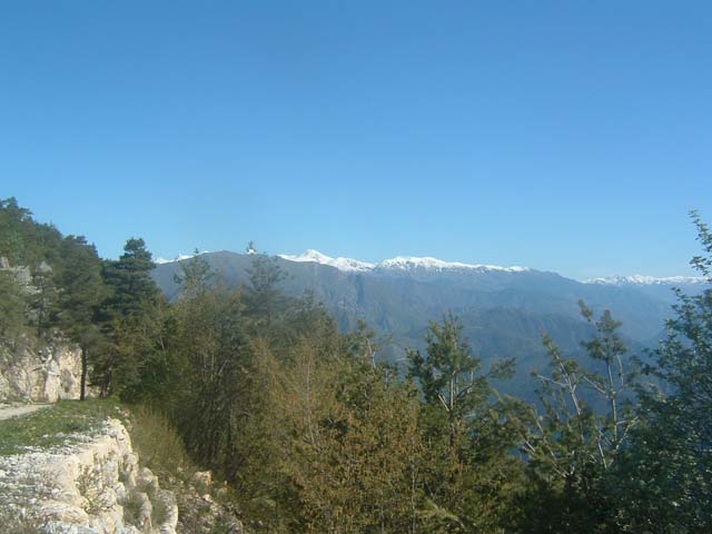 DSCF0020