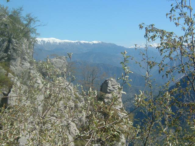 DSCF0031