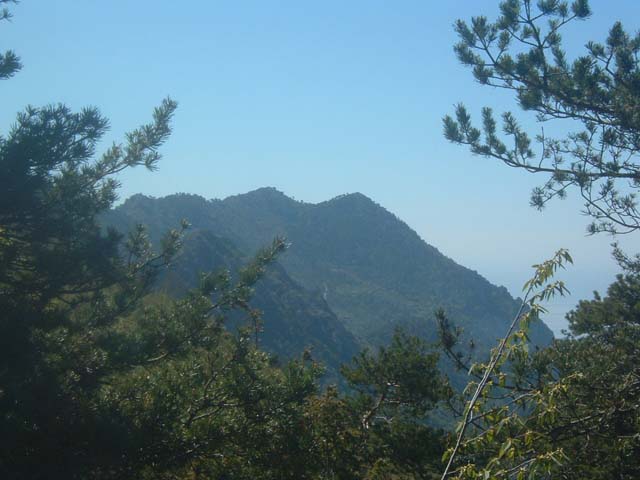 DSCF0039