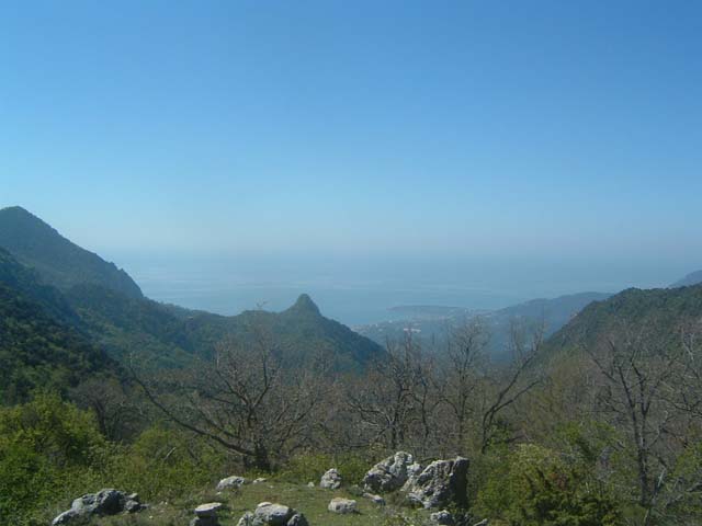 DSCF0043