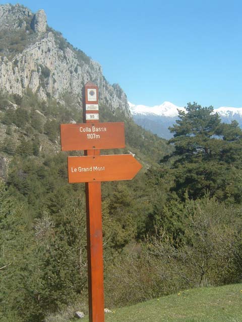 DSCF0054