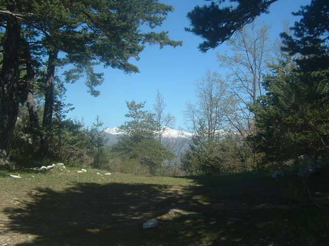 DSCF0060