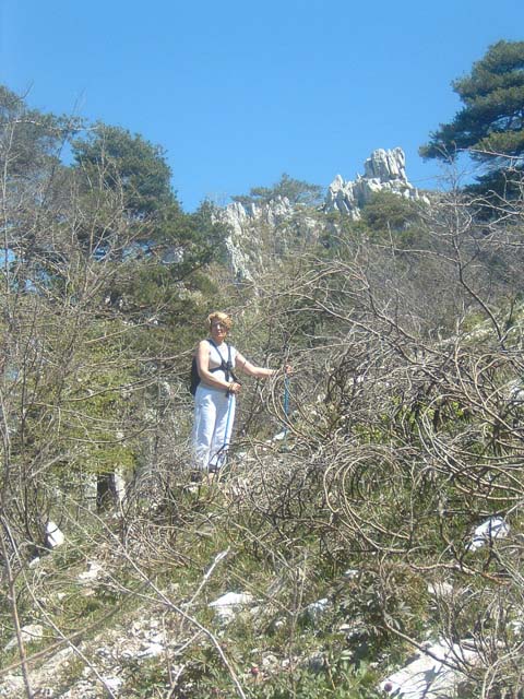 DSCF0071