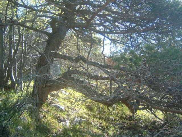 DSCF0072