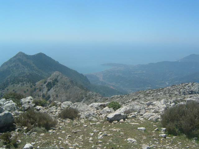 DSCF0078