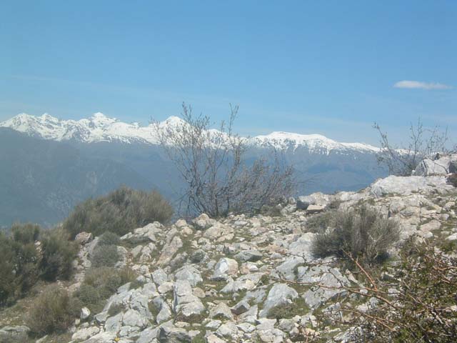 DSCF0081