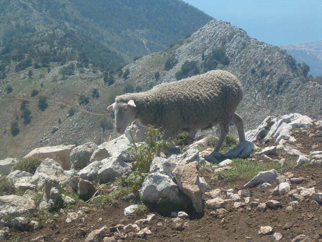 DSCF0084