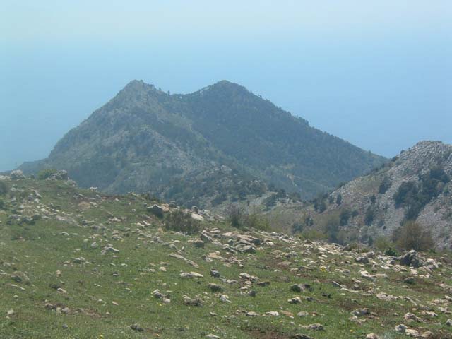 DSCF0099
