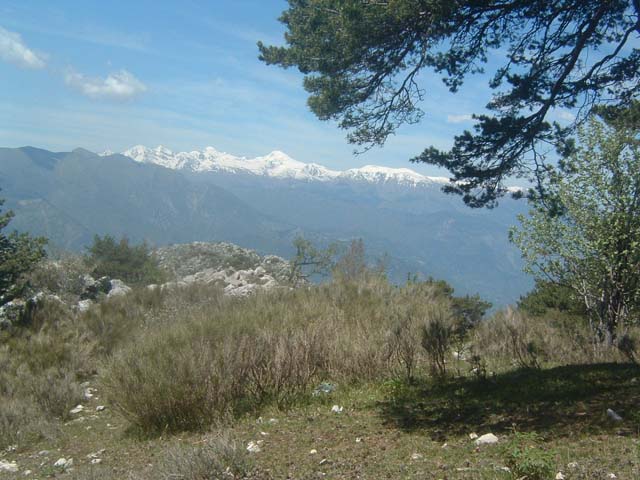 DSCF0102