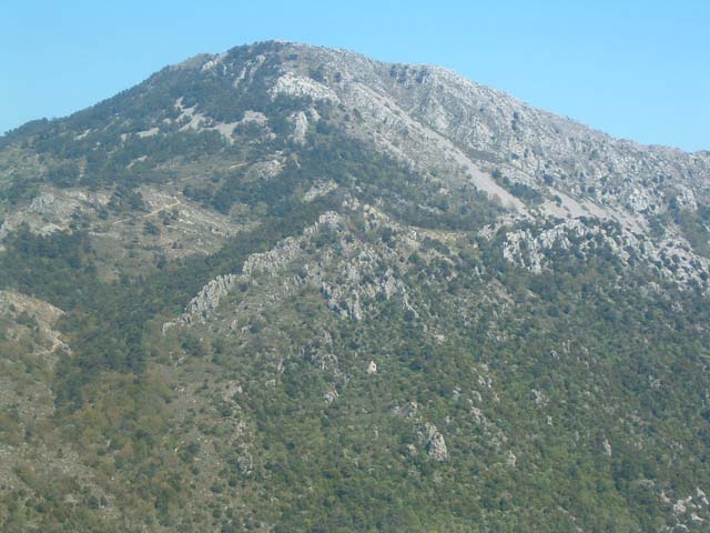 DSCF0121