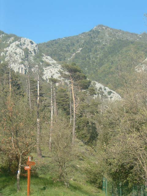 DSCF0143
