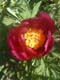 DSCF0069