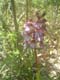 DSCF0141