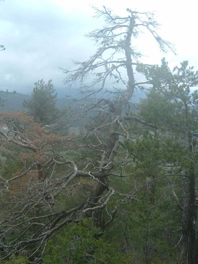 MontStMartin_Photo026