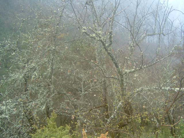 MontStMartin_Photo027