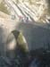 MontStMartin_Photo004