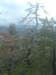 MontStMartin_Photo026