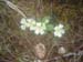 MontStMartin_Photo028