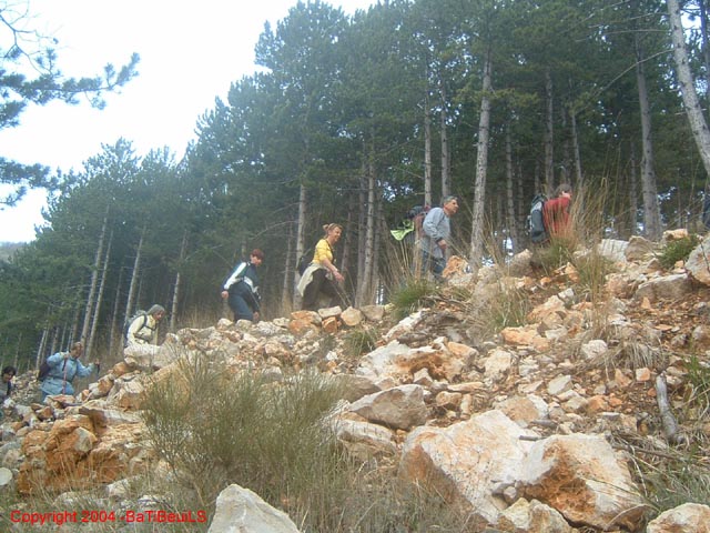 DSCF0006