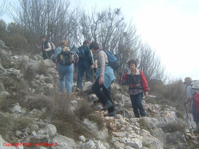 DSCF0016