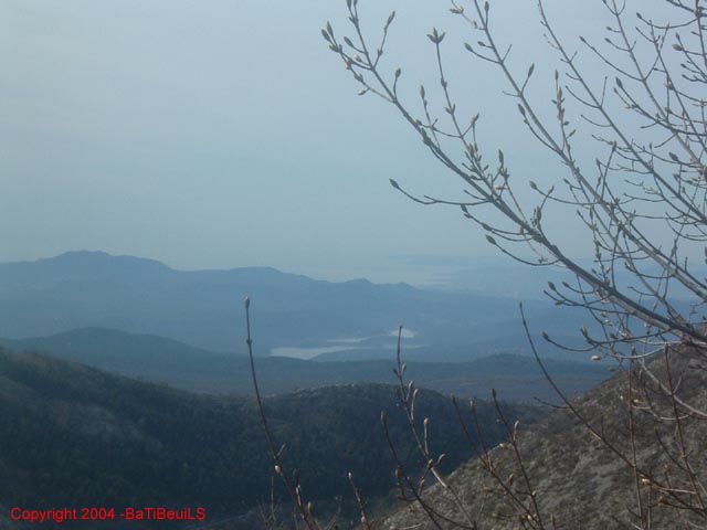DSCF0023