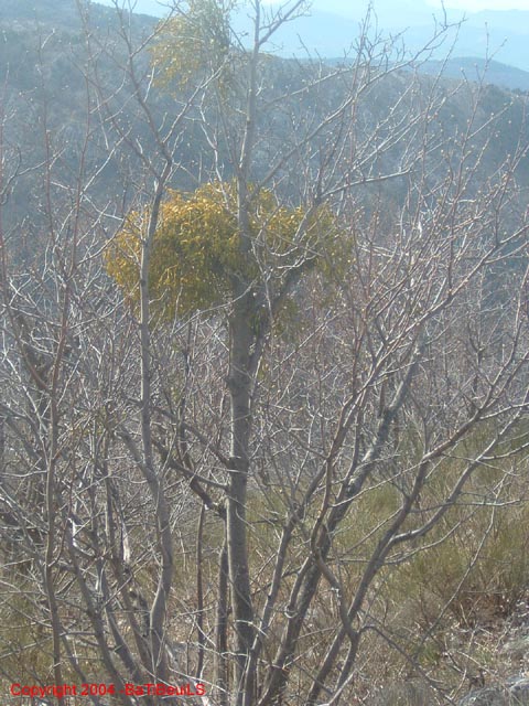 DSCF0024