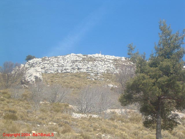 DSCF0035
