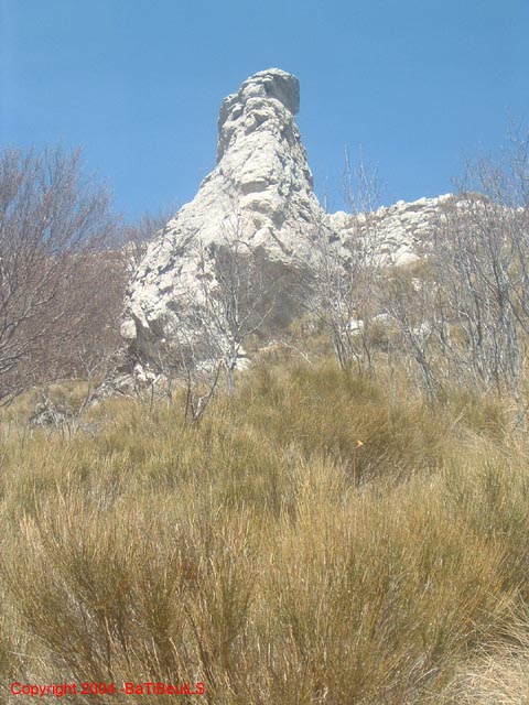 DSCF0041